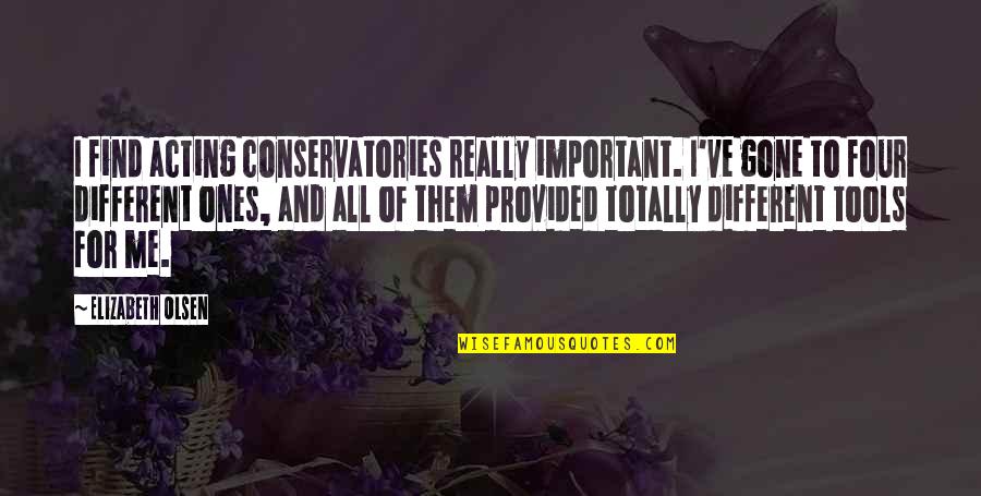 Delusioned Quotes By Elizabeth Olsen: I find acting conservatories really important. I've gone Delusioned Quotes By Elizabeth Olsen: I find acting conservatories really important. I've gone