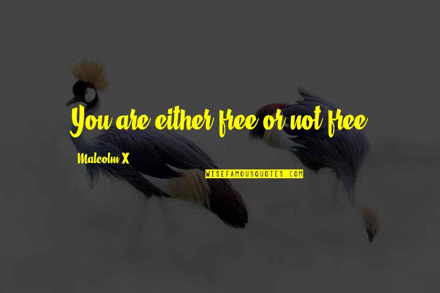 Delusions In Love Quotes By Malcolm X: You are either free or not free Delusions In Love Quotes By Malcolm X: You are either free or not free