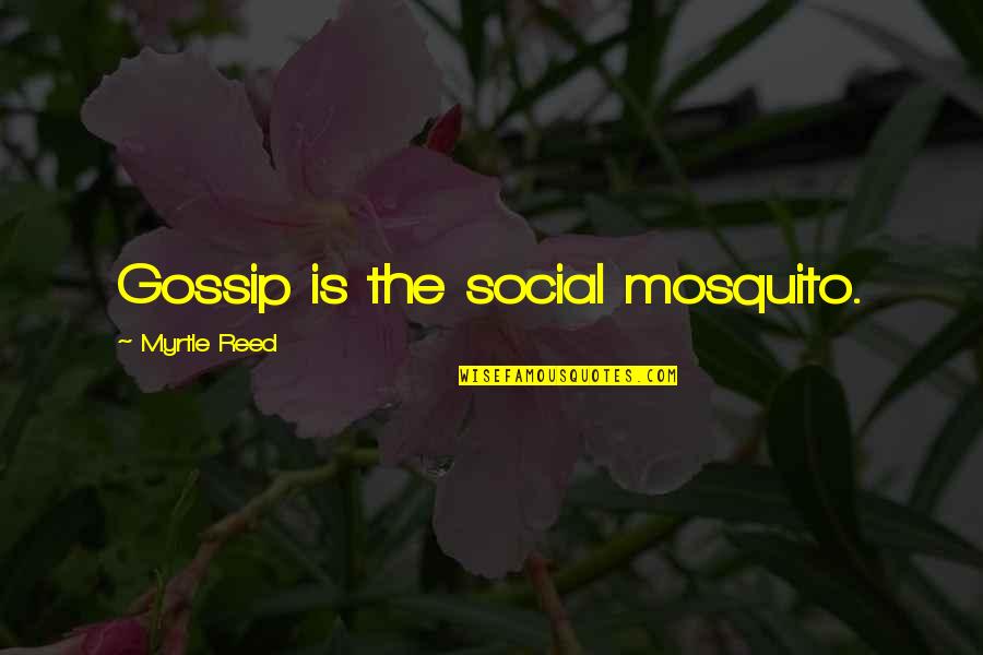 Deluzionet Quotes By Myrtle Reed: Gossip is the social mosquito. Deluzionet Quotes By Myrtle Reed: Gossip is the social mosquito.