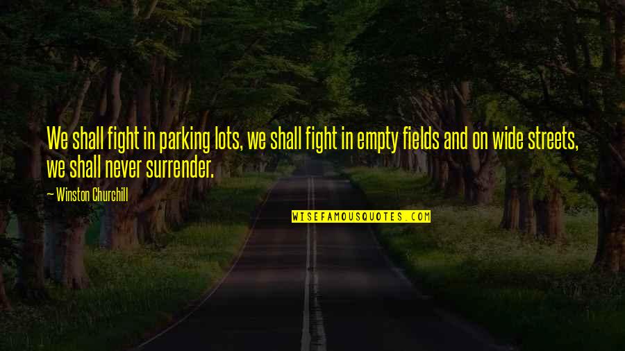 Demandas De Alimentos Quotes By Winston Churchill: We shall fight in parking lots, we shall Demandas De Alimentos Quotes By Winston Churchill: We shall fight in parking lots, we shall