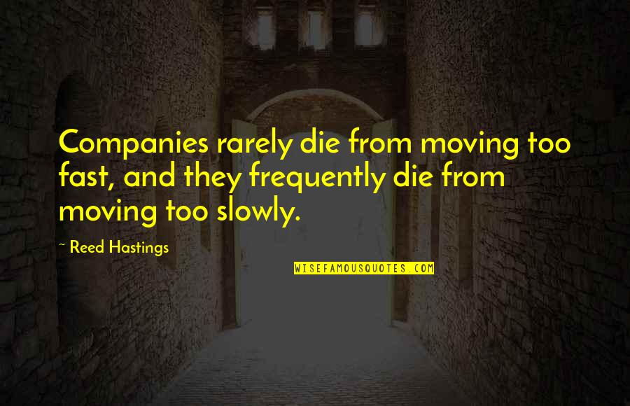 Demann Riverside Quotes By Reed Hastings: Companies rarely die from moving too fast, and