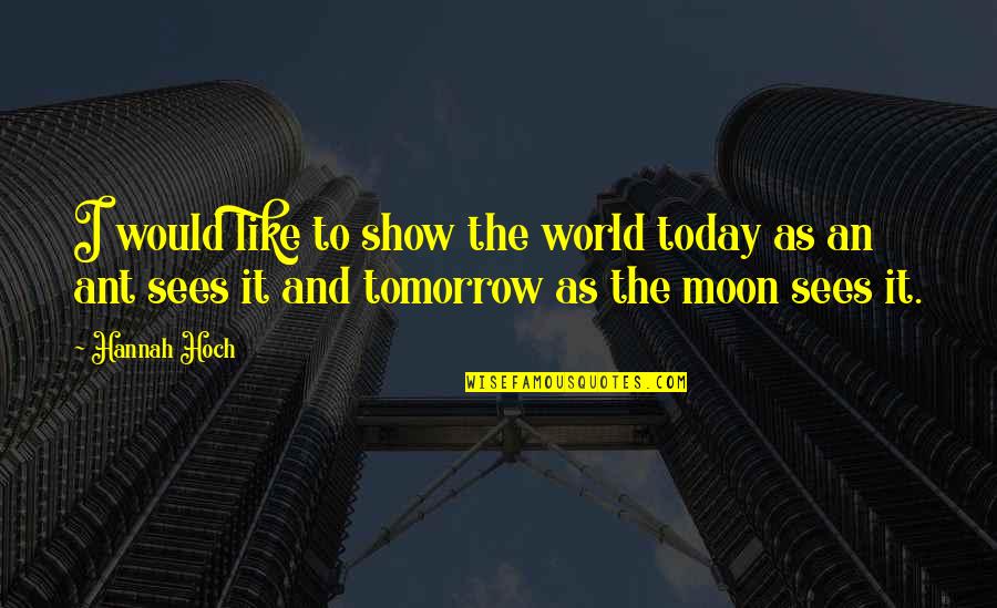 Demarcates Define Quotes By Hannah Hoch: I would like to show the world today Demarcates Define Quotes By Hannah Hoch: I would like to show the world today