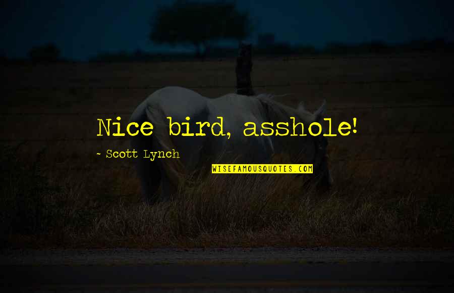 Demarderus Quotes By Scott Lynch: Nice bird, asshole!