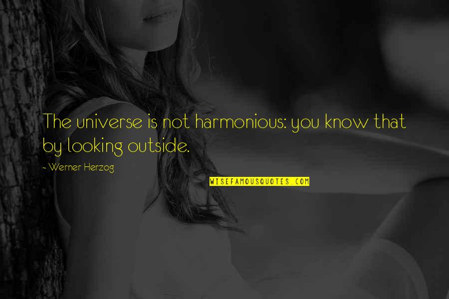 Demarini Bats Quotes By Werner Herzog: The universe is not harmonious: you know that