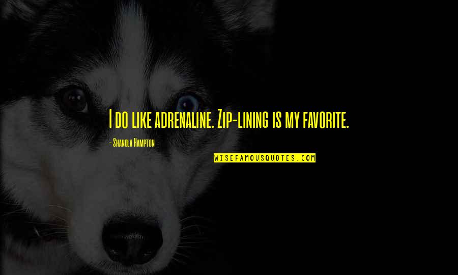 Demarse Origin Quotes By Shanola Hampton: I do like adrenaline. Zip-lining is my favorite. Demarse Origin Quotes By Shanola Hampton: I do like adrenaline. Zip-lining is my favorite.