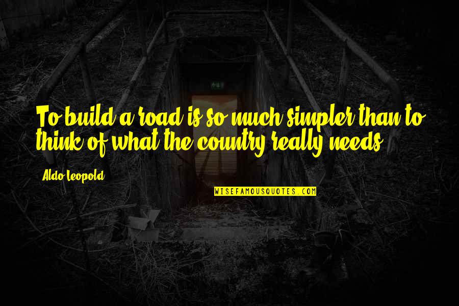 Demarsh Tina Quotes By Aldo Leopold: To build a road is so much simpler