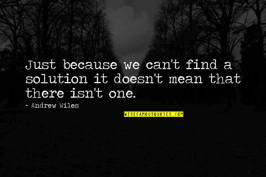 Demetree Quotes By Andrew Wiles: Just because we can't find a solution it
