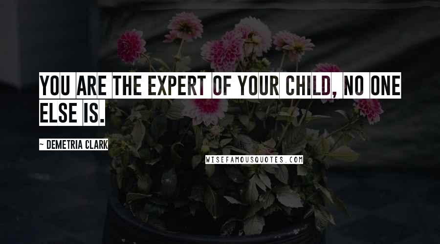 Demetria Clark quotes: You are the expert of your child, no one else is.
