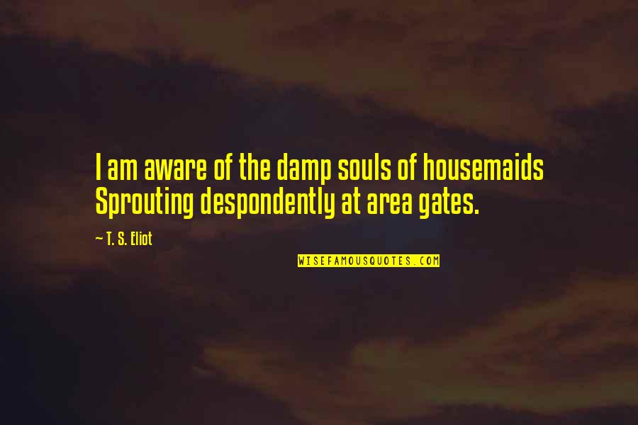 Demeziere Quotes By T. S. Eliot: I am aware of the damp souls of