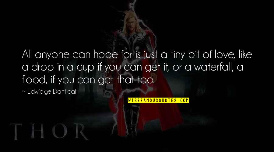 Demigods Quotes By Edwidge Danticat: All anyone can hope for is just a