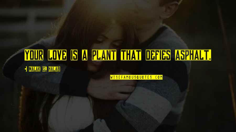 Demijohn For Sale Quotes By Malak El Halabi: Your love is a plant that defies asphalt.