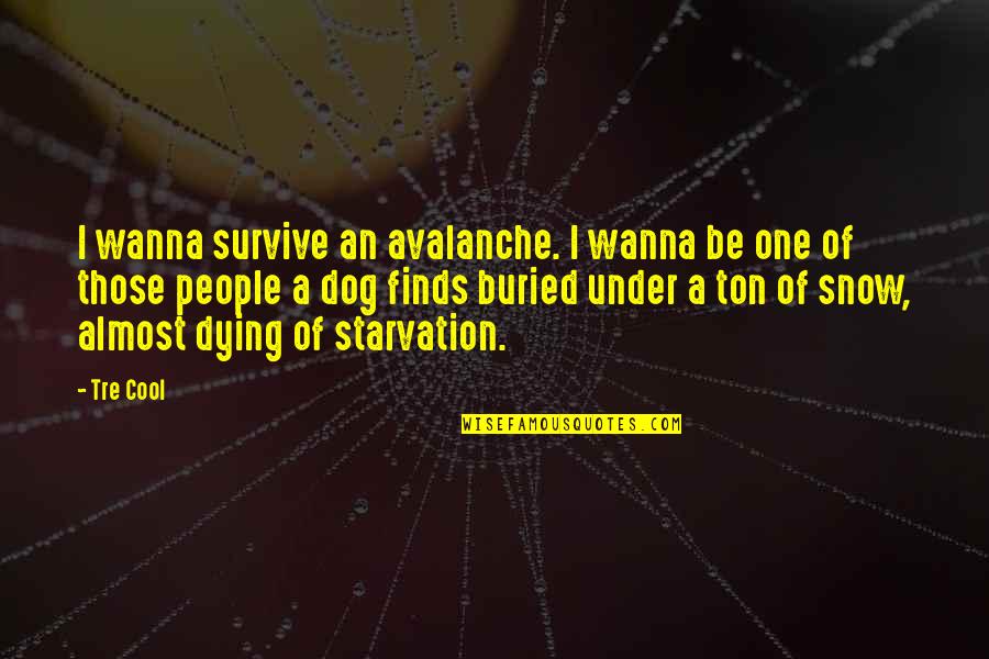 Demirden Korksak Quotes By Tre Cool: I wanna survive an avalanche. I wanna be