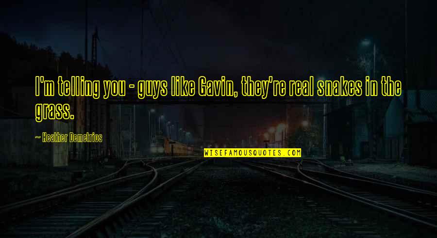 Demirel Suleyman Quotes By Heather Demetrios: I'm telling you - guys like Gavin, they're
