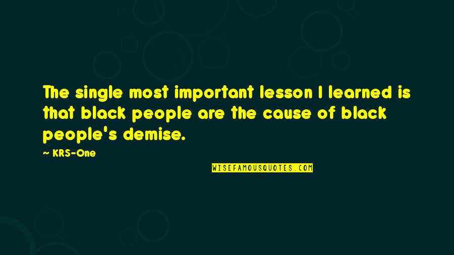 Demise Quotes By KRS-One: The single most important lesson I learned is