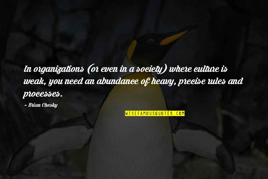Demmeler Quotes By Brian Chesky: In organizations (or even in a society) where Demmeler Quotes By Brian Chesky: In organizations (or even in a society) where