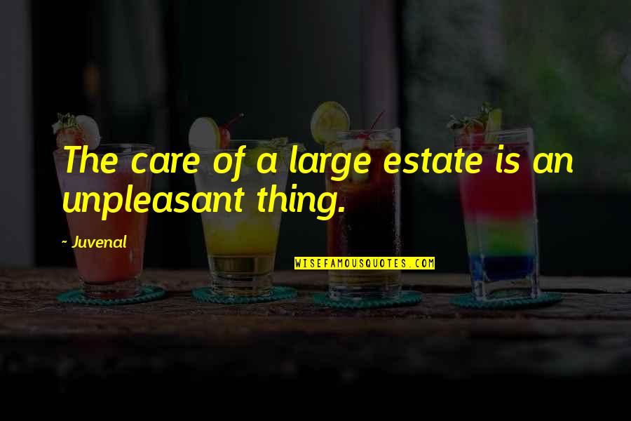 Demmings Delivery Quotes By Juvenal: The care of a large estate is an