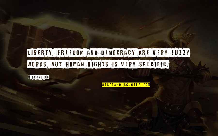 Democracy And Freedom Quotes By Joichi Ito: Liberty, freedom and democracy are very fuzzy words,