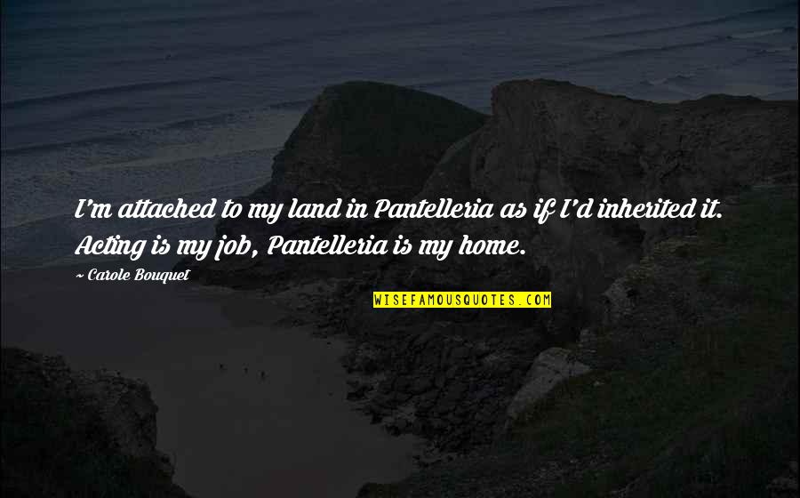 Democracy Essay Quotes By Carole Bouquet: I'm attached to my land in Pantelleria as
