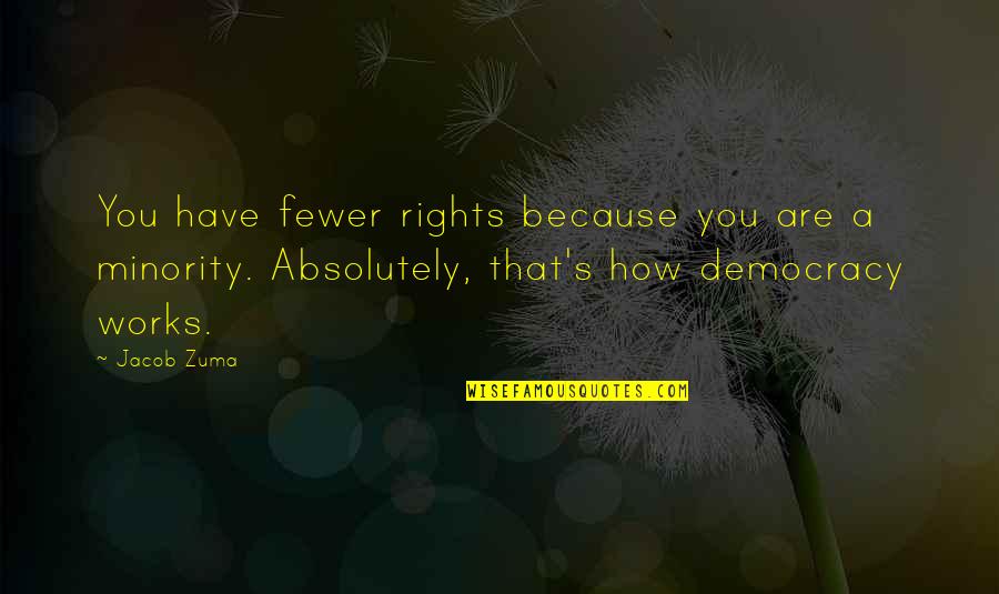 Democracy Minority Quotes By Jacob Zuma: You have fewer rights because you are a