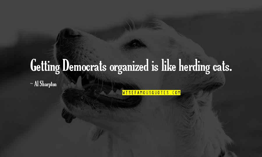 Democrat Quotes By Al Sharpton: Getting Democrats organized is like herding cats.