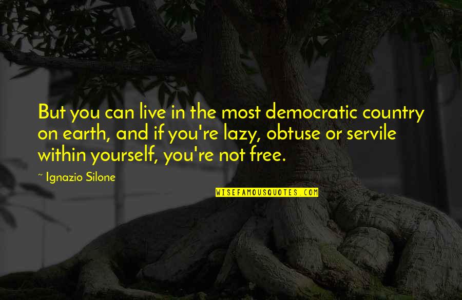 Democratic Freedom Quotes By Ignazio Silone: But you can live in the most democratic