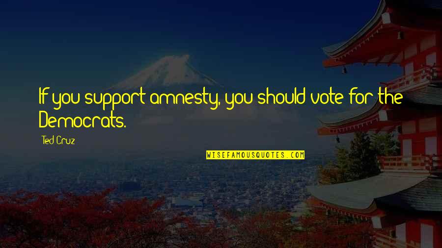 Democrats Quotes By Ted Cruz: If you support amnesty, you should vote for Democrats Quotes By Ted Cruz: If you support amnesty, you should vote for