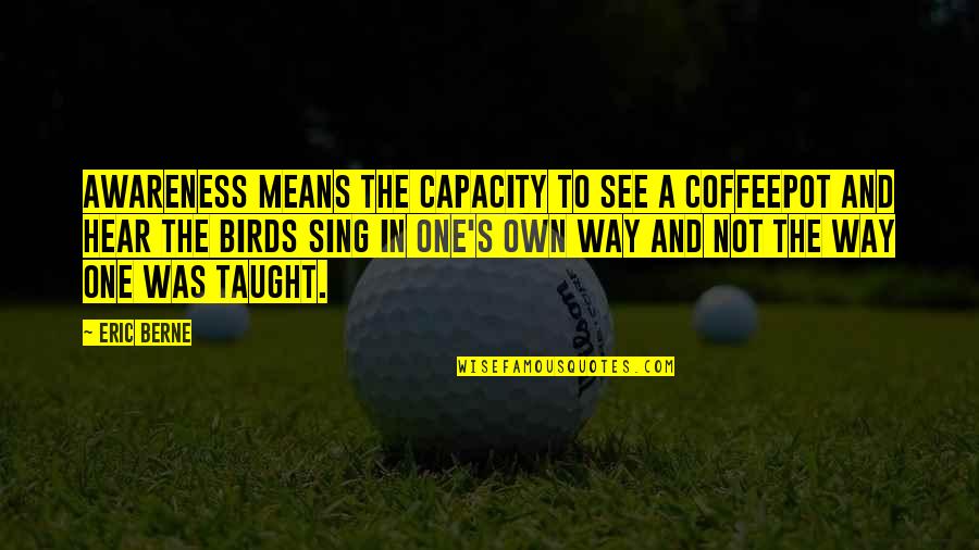 Demokracie V Quotes By Eric Berne: Awareness means the capacity to see a coffeepot Demokracie V Quotes By Eric Berne: Awareness means the capacity to see a coffeepot
