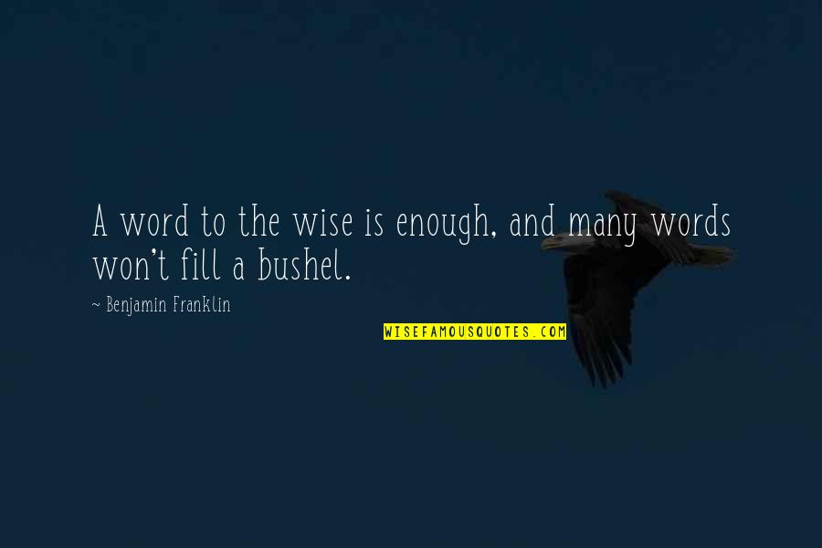 Demokratikus Quotes By Benjamin Franklin: A word to the wise is enough, and