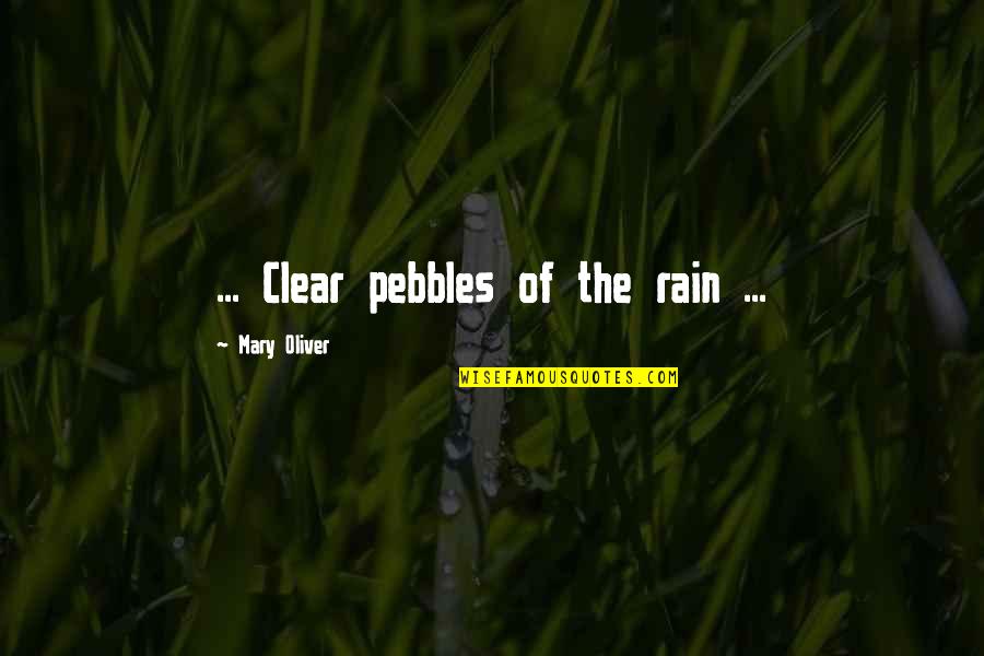 Demonologist Salary Quotes By Mary Oliver: ... Clear pebbles of the rain ...