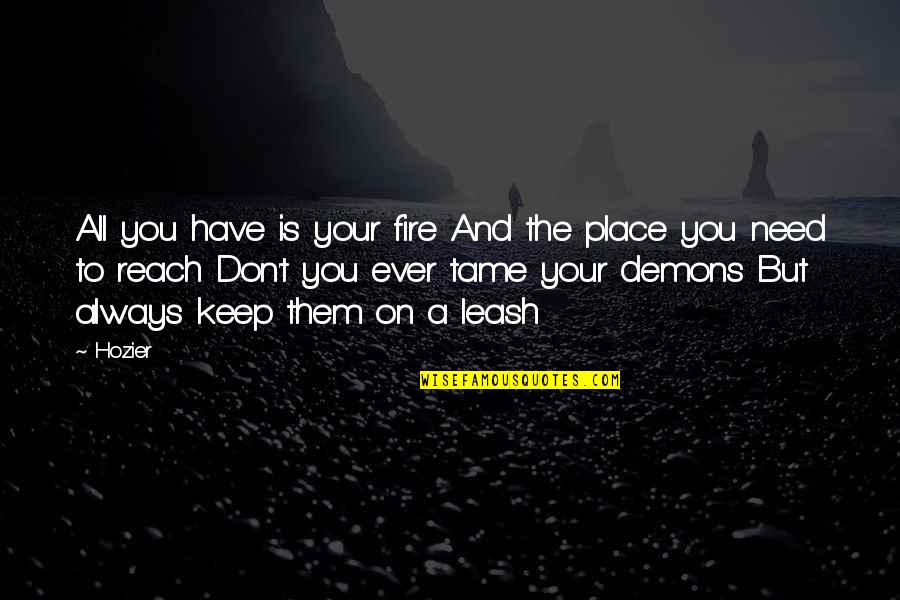 Demons Within Quotes By Hozier: All you have is your fire And the