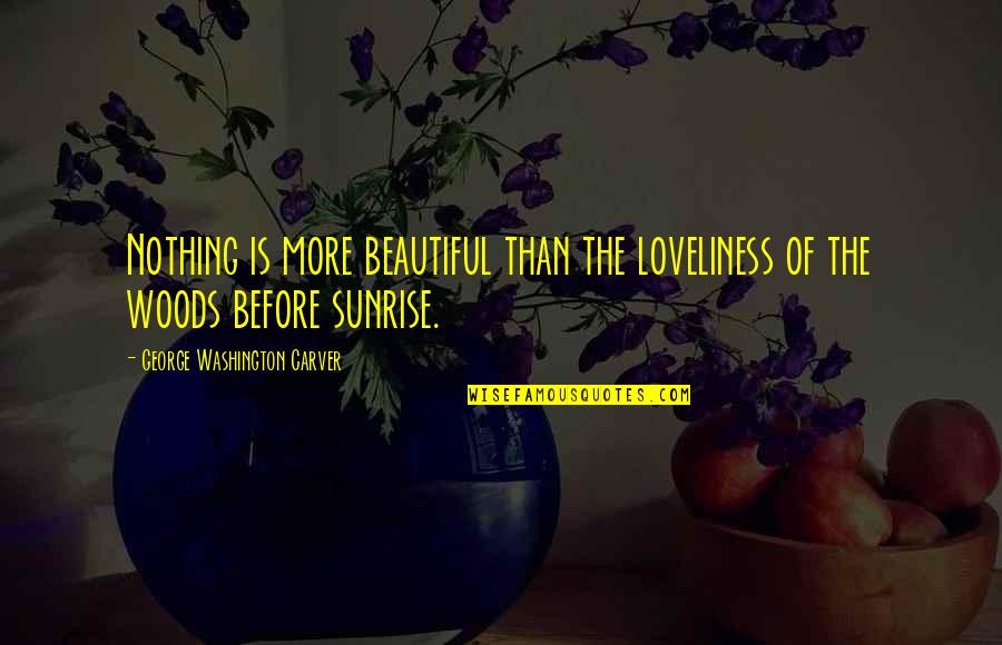 Demoralising Quotes By George Washington Carver: Nothing is more beautiful than the loveliness of