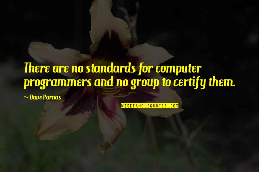 Demoralizing Posters Quotes By Dave Parnas: There are no standards for computer programmers and