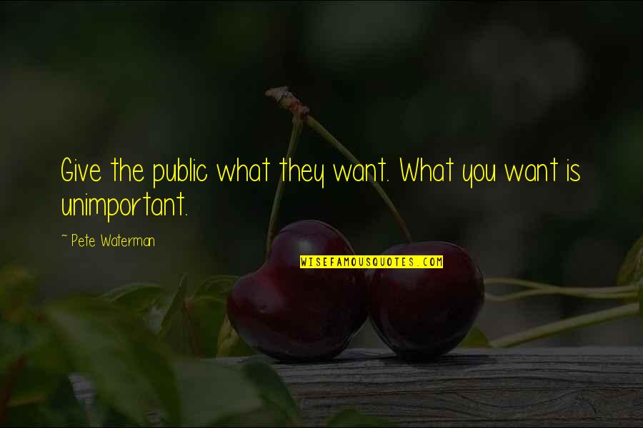 Demotivating Factors Quotes By Pete Waterman: Give the public what they want. What you Demotivating Factors Quotes By Pete Waterman: Give the public what they want. What you
