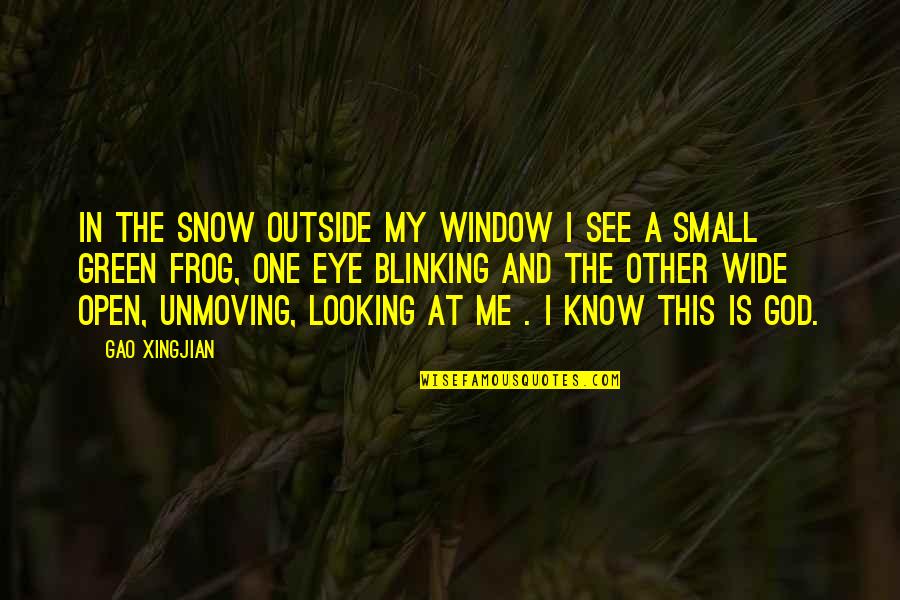 Demotivating Synonym Quotes By Gao Xingjian: In the snow outside my window I see