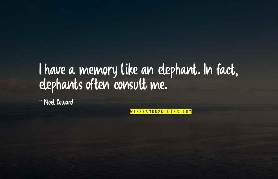 Demott Quotes By Noel Coward: I have a memory like an elephant. In
