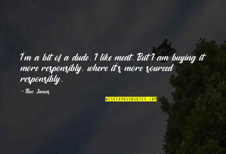 Demploi Brooklyn Quotes By Theo James: I'm a bit of a dude. I like