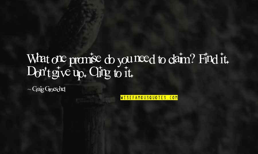 Demprunt Quotes By Craig Groeschel: What one promise do you need to claim?