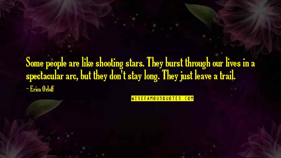 Dempsey And Makepeace Quotes By Erica Orloff: Some people are like shooting stars. They burst