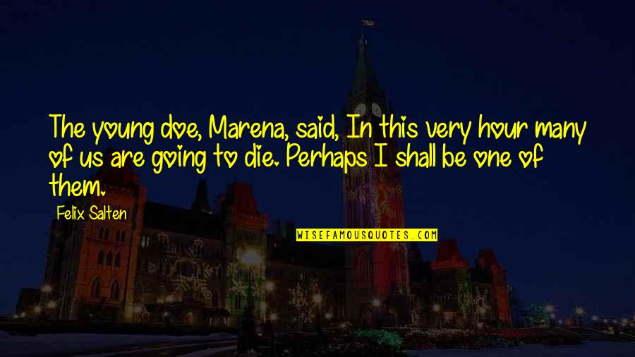 Demytholgy Quotes By Felix Salten: The young doe, Marena, said, In this very