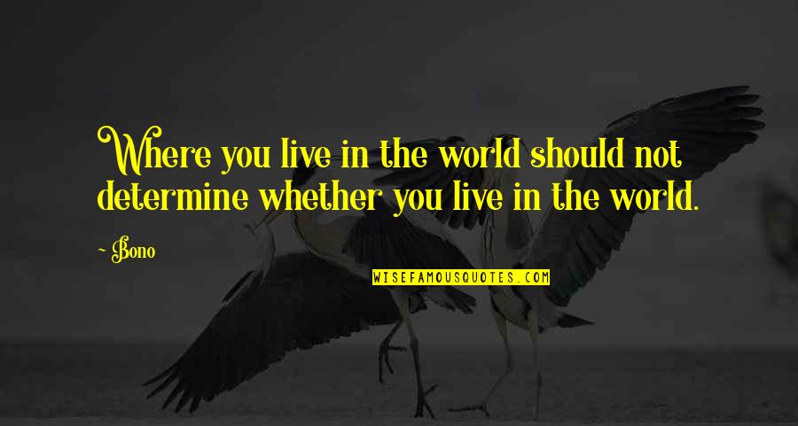Dendritic Ulcer Quotes By Bono: Where you live in the world should not