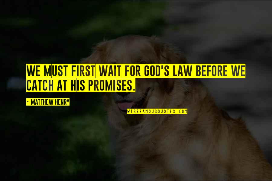 Dene Quotes By Matthew Henry: We must first wait for God's law before