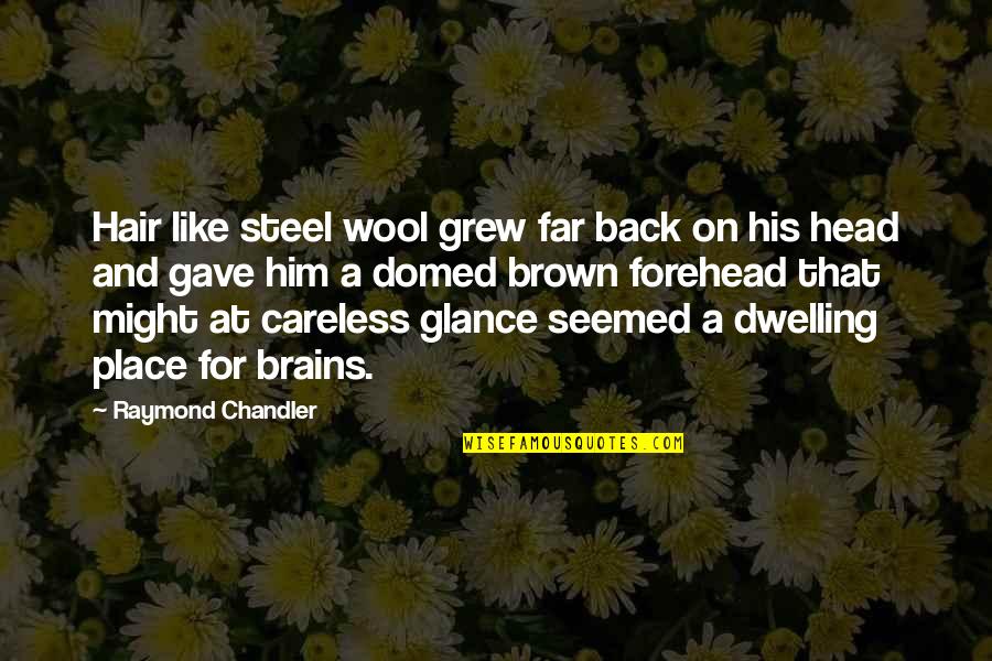 Deneka Horiden Quotes By Raymond Chandler: Hair like steel wool grew far back on Deneka Horiden Quotes By Raymond Chandler: Hair like steel wool grew far back on