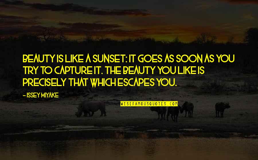 Deneys Quotes By Issey Miyake: Beauty is like a sunset: it goes as