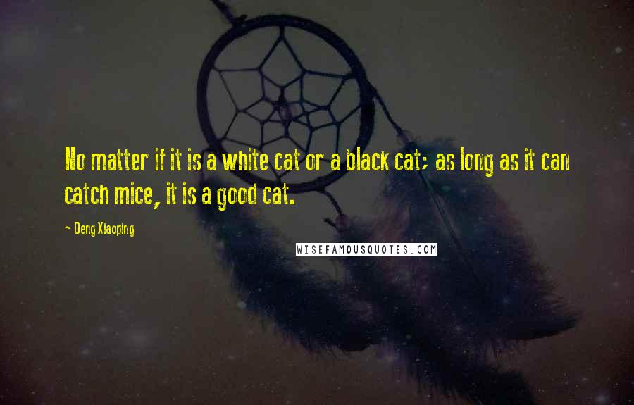 Deng Xiaoping quotes: No matter if it is a white cat or a black cat; as long as it can catch mice, it is a good cat.