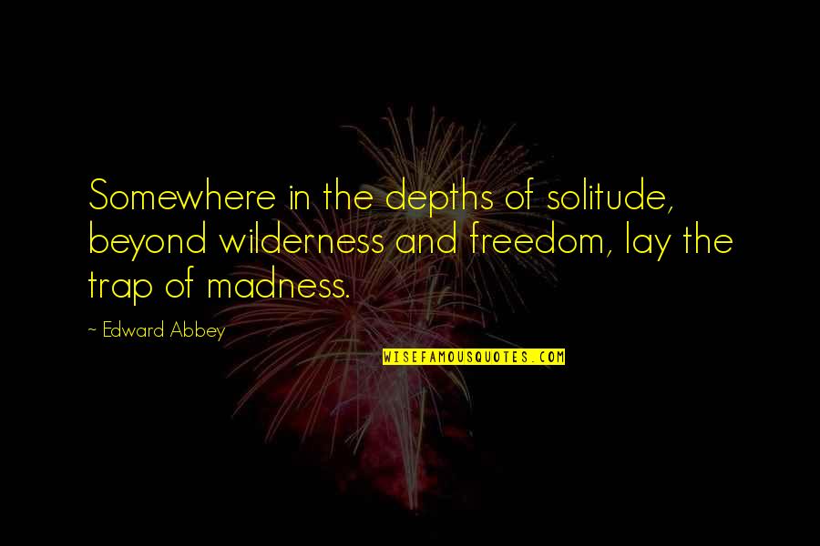 Denial Of Addiction Quotes By Edward Abbey: Somewhere in the depths of solitude, beyond wilderness