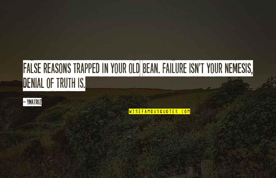 Denial Of Feelings Quotes By Ymatruz: False reasons trapped in your old bean. Failure