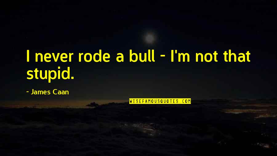 Denial Of Kant Quotes By James Caan: I never rode a bull - I'm not Denial Of Kant Quotes By James Caan: I never rode a bull - I'm not