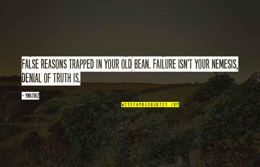 Denial Of The Truth Quotes By Ymatruz: False reasons trapped in your old bean. Failure
