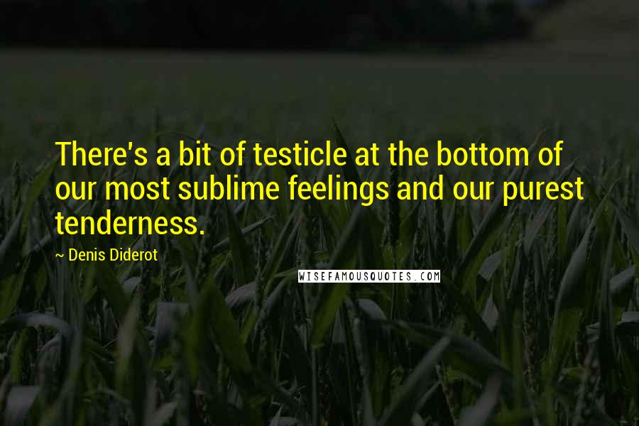 Denis Diderot quotes: There's a bit of testicle at the bottom of our most sublime feelings and our purest tenderness.