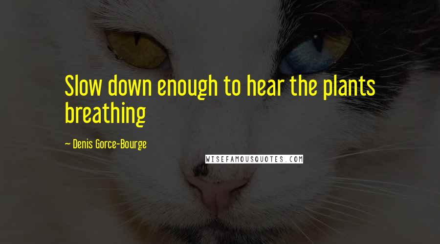 Denis Gorce-Bourge quotes: Slow down enough to hear the plants breathing